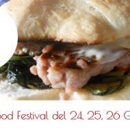 Festival Street Food del 24, 25, 26 giugno 2016